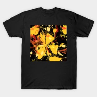 Abstract no. 17225 T-Shirt